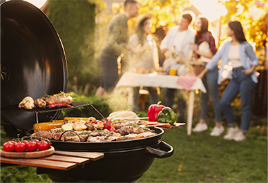 DELTA 3 Plusのご使用用途